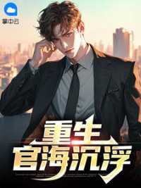 重生：官海沉浮 作者：佚名