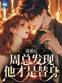 离婚后，周总发现他才是替身 作者：佚名