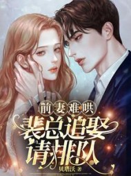 前妻难哄，裴总追娶请排队阅读