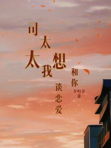 司太太，我想和你谈恋爱