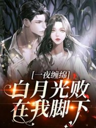 一夜缠绵:白月光败在我脚下阅读