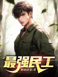 最强民工梁辰最新 作者：佚名