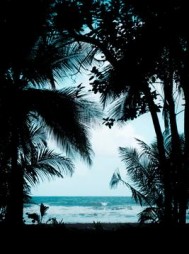 重返20岁,我甩掉了校花女友周诣许欣(周诣) - 重返20岁,我甩掉了校花女友周诣许欣全文在线阅读 - 重返20岁,我甩掉了校花女友周诣许欣最新章节 - 奏决网