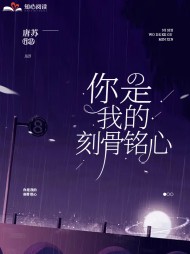 你是我的刻骨铭心唐苏陆砚琛 作者：佚名