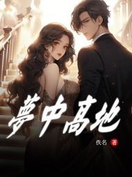 梦中高地林隽沈知辞阅读 作者：佚名