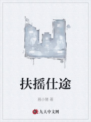 扶摇仕途洪强钟兰 作者：佚名