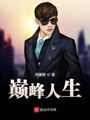 巅峰人生最新 作者：佚名