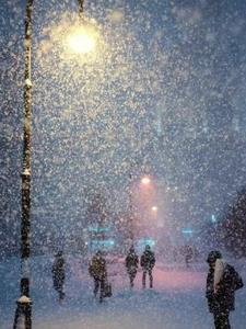 风起云涌雪纷飞后续+番外