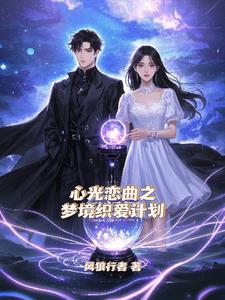 心光恋曲之梦境织爱计划后续+番外