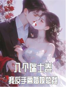 八个瑞士卷，我反手离婚嫁总裁最新