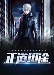 正道坦途凌正道阅读