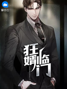 狂婿临门 作者：佚名