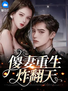 傻妻重生炸翻天 作者：佚名