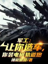 军工让你造车,你装轨道电磁炮阅读