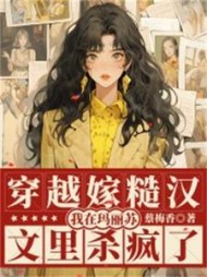 穿越嫁糙汉，我在玛丽苏文里杀疯了阅读