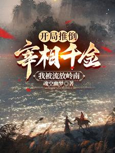 开局推倒宰相千金，我被流放岭南