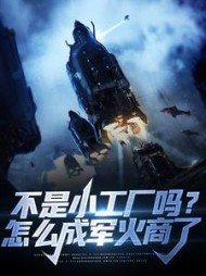 不是小工厂吗怎么成军火商了林辰(清风也识字) - 不是小工厂吗怎么成军火商了林辰全文在线阅读 - 不是小工厂吗怎么成军火商了林辰最新章节 - 奏决网