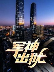 军神出狱叶峰阅读