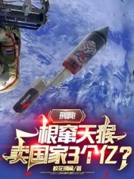 刑啊一根窜天猴卖国家3个亿(林北)