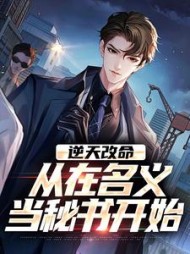 逆天改命，从在名义当秘书开始陈正泽阅读