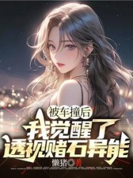 被车撞后，我觉醒了透视赌石异能