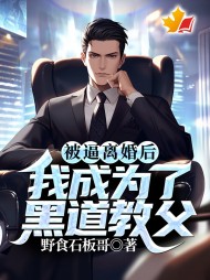 被逼离婚后,我成为了黑道教父完整版