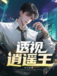 透视逍遥王阅读