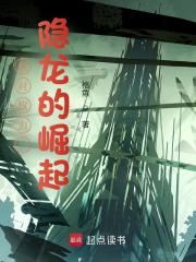 绝对权力：隐龙的崛起最新 作者：佚名