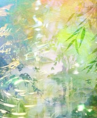 风流仕途：妻子的秘密最新